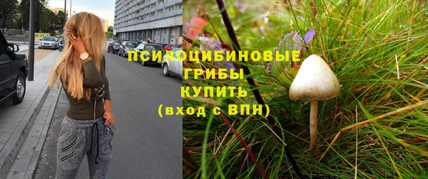 дживик Арсеньев