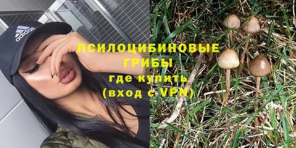 ПСИЛОЦИБИНОВЫЕ ГРИБЫ Алексеевка