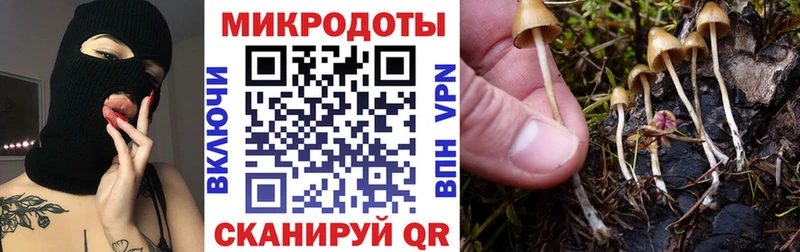 Псилоцибиновые грибы ЛСД  Тайшет 